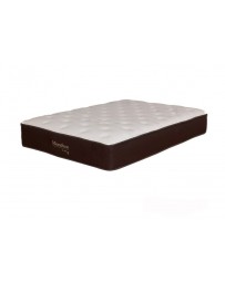 Colchón Queen Size Aries Xl 1.52X 2.03 - Envío Gratuito