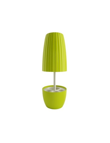 Set Organizador para Cepillos y Pasta Dental-Amarillo - Envío Gratuito