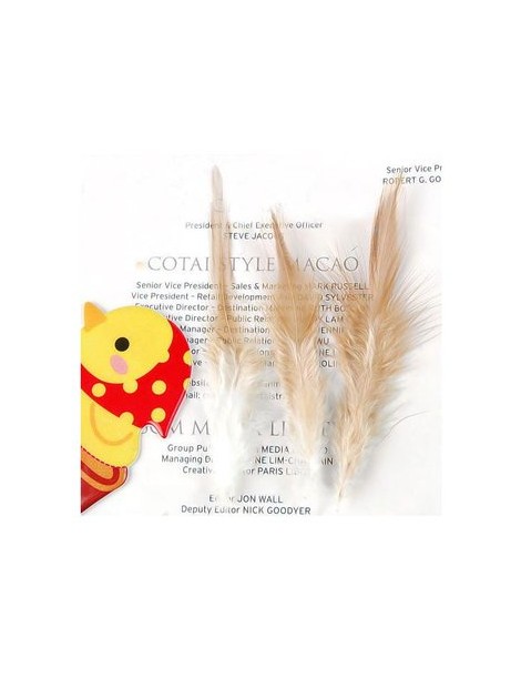 Generic 50pcs Coque Gallo Gallo Silla De Plumas 4-6 Pulgadas - Color Natural - Envío Gratuito