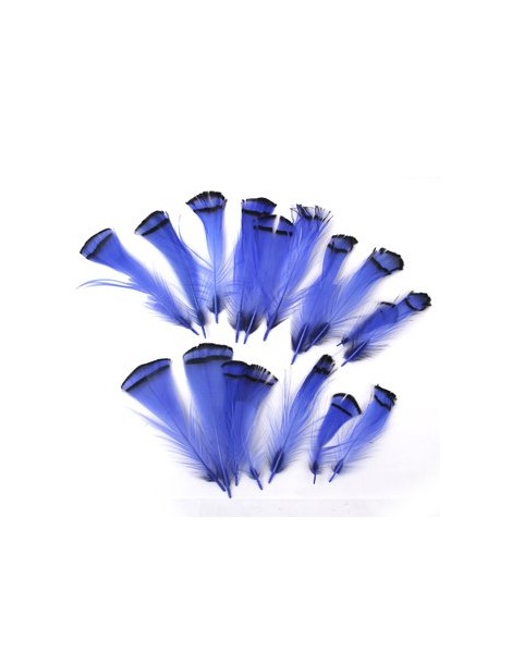 Generic Chino Plumas De Faisán Cobre Para Embarcaciones Máscara Sombrero 5-9cm 20pcs Azul - Envío Gratuito