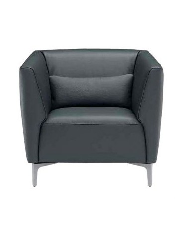 Sillón Josa Flother - Negro - Envío Gratuito