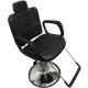 Silla sillón hidráulico reclinable peluqueria salon belleza D Salon - Envío Gratuito